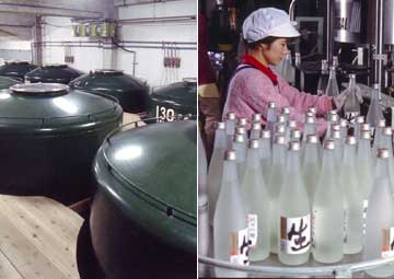 Pasteurization, Aging, & Storage